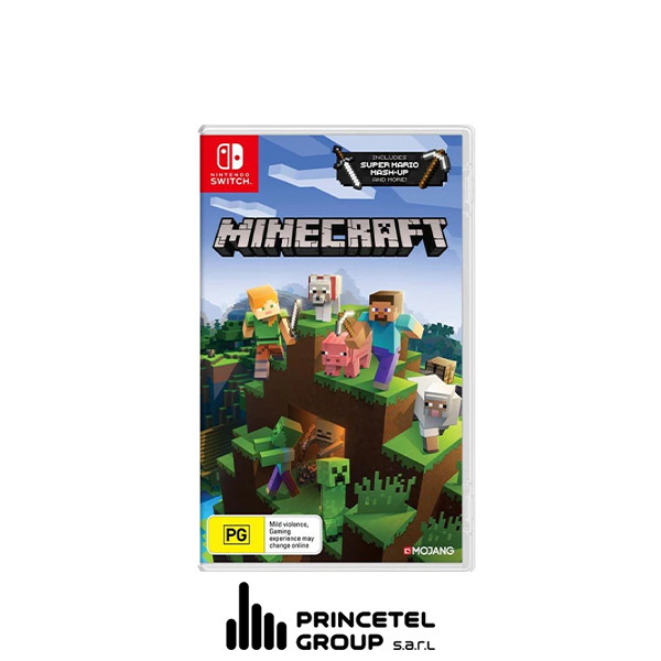 minecraft switch used