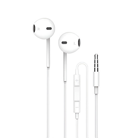 Earphones