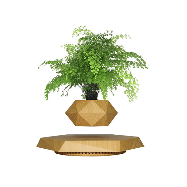 floating plant pot, mobiles, lebanon, samsung, iphones, new, used, laptops, computers, huawei, phone, mobile prices in lebanon,mobile prices